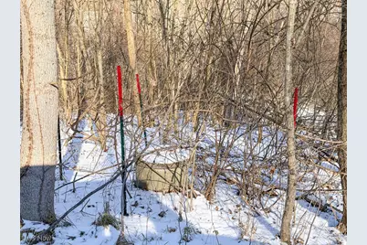 0 Twp Rd 158, West Lafayette, OH 43845 - Photo 10