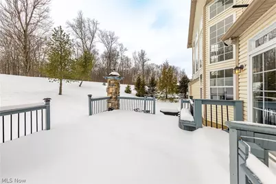 5532 Brook Run Drive, Medina, OH 44256 - Photo 44