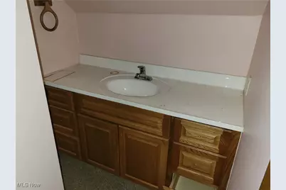 16918 Grovewood Avenue, Loveland, OH 44110 - Photo 20