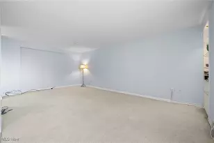 11820 Edgewater Dr, Oakwood, OH 44107 - Photo 12