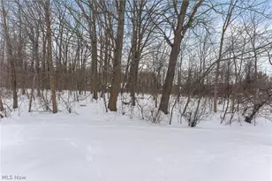 7034 Rushmore Way, Concord, OH 44077 - Photo 36