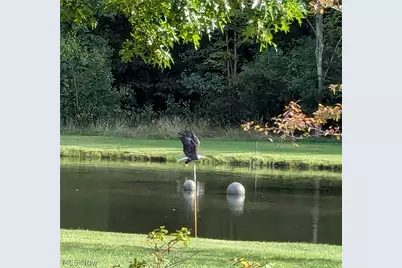 4852 White Road, Rock Creek, OH 44084 - Photo 44