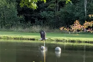 4852 White Rd, Rock Creek, OH 44084 - Photo 44