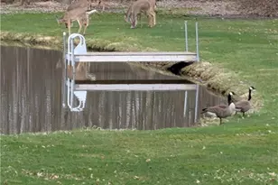 4852 White Rd, Rock Creek, OH 44084 - Photo 42