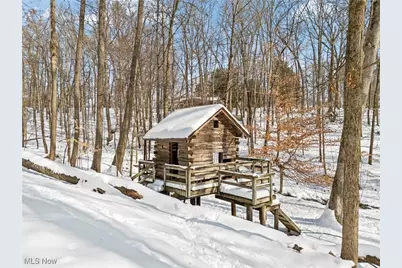 410 Apple Hill Drive N, Howard, OH 43028 - Photo 24