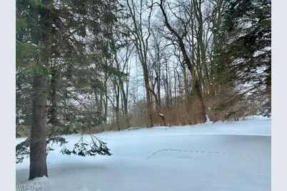 3984 Palace Way, Copley, OH 44321 - Photo 36