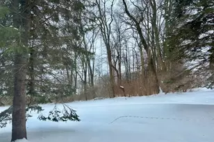 3984 Palace Way, Copley, OH 44321 - Photo 36