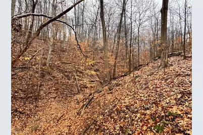 Heston Road, Kimbolton, OH 43749 - Photo 10