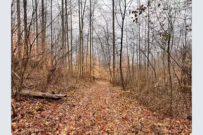 Heston Road, Kimbolton, OH 43749 - Photo 6