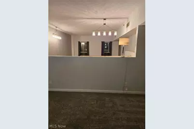 408 W Saint Clair Avenue #309, Loveland, OH 44113 - Photo 6