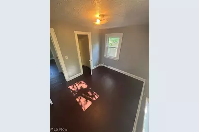3919 E 99th Street, Loveland, OH 44105 - Photo 10