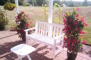 67582 Clark Rd, St Clairsville, OH 43950 - Photo 18