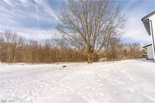 6116 Boneta Rd, Medina, OH 44256 - Photo 38