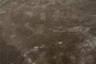 1624 Tanner Ave SW, Canton, OH 44706 - Photo 16