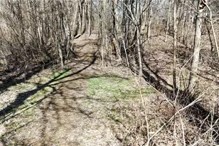 V/L Granger Rd, Medina, OH 44256 - Photo 12