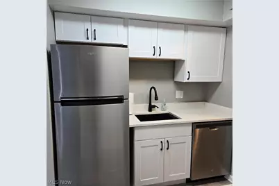 8104 Puritan Drive #52-C, Mentor, OH 44060 - Photo 8