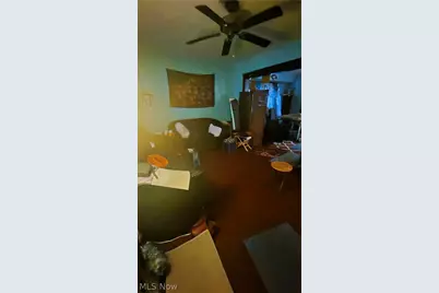 10704 Woodland Avenue, Loveland, OH 44104 - Photo 6