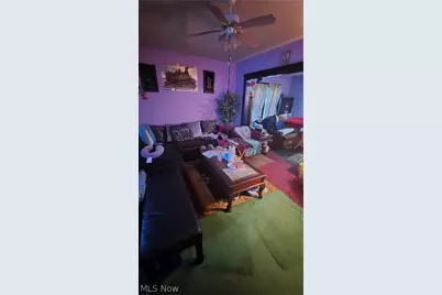 10704 Woodland Avenue, Loveland, OH 44104 - Photo 4