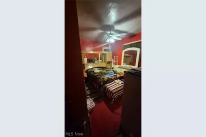 10704 Woodland Avenue, Loveland, OH 44104 - Photo 14