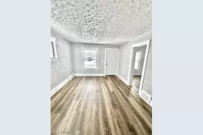 2040 W 103 Street, Loveland, OH 44102 - Photo 6