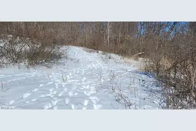 33480 County Road 99, Warsaw, OH 43844 - Photo 12