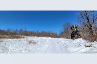 33480 County Road 99, Warsaw, OH 43844 - Photo 6