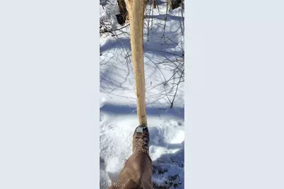 33480 County Road 99, Warsaw, OH 43844 - Photo 22