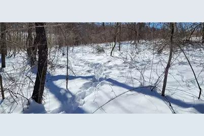 33480 County Road 99, Warsaw, OH 43844 - Photo 46