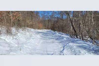 33480 County Road 99, Warsaw, OH 43844 - Photo 16