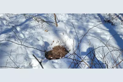 33480 County Road 99, Warsaw, OH 43844 - Photo 44