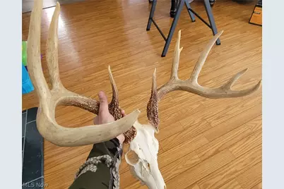 33480 County Road 99, Warsaw, OH 43844 - Photo 50