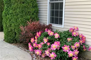 2015 Osage Trail, Wadsworth, OH 44281 - Photo 46