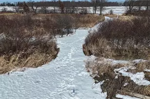 762 Township Rd 150, Sullivan, OH 44880 - Photo 38