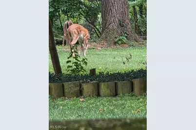 202 Old State Road S, Norwalk, OH 44857 - Photo 28