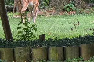 202 Old State Rd S, Norwalk, OH 44857 - Photo 28