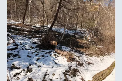 8587 County Road 15, Rayland, OH 43943 - Photo 48