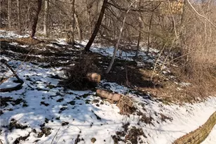 8587 Co Rd 15, Rayland, OH 43943 - Photo 48