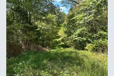 8292 State Route 60, Lowell, OH 45744 - Photo 1