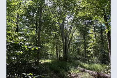 8292 State Route 60, Lowell, OH 45744 - Photo 6