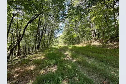 8292 State Route 60, Lowell, OH 45744 - Photo 2