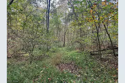 0 Tadpole Run Rd, Marietta, OH 45750 - Photo 14