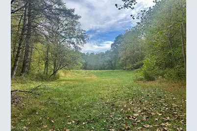 0 Tadpole Run Rd, Marietta, OH 45750 - Photo 8