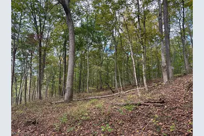 0 Tadpole Run Rd, Marietta, OH 45750 - Photo 22