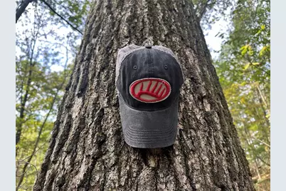 0 Tadpole Run Rd, Marietta, OH 45750 - Photo 18