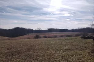 11973 Virtue Rd, Kimbolton, OH 43716 - Photo 10