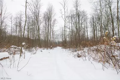 3542 Mann Road, Andover, OH 44003 - Photo 28