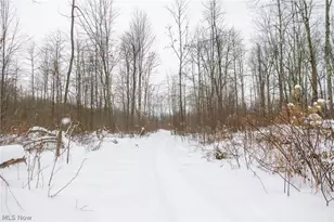 3542 Mann Rd, Andover, OH 44003 - Photo 28