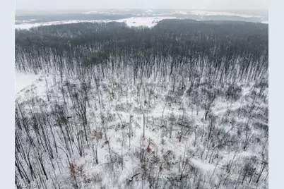 3542 Mann Road, Andover, OH 44003 - Photo 36