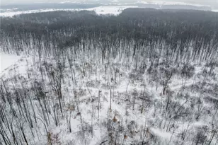 3542 Mann Rd, Andover, OH 44003 - Photo 36