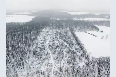 3542 Mann Road, Andover, OH 44003 - Photo 34